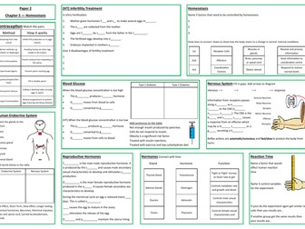 Homeostasis Revision Placemat