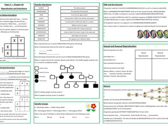 Reproduction and Inheritance Revision Placemat