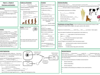 Variation and Evolution Revision Placemat