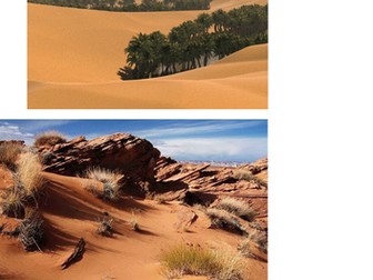 Animal habitats complete lesson  KS1/KS2 SCIENCE