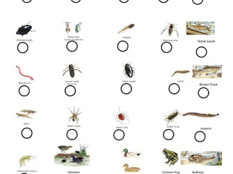 River Animals Worksheet