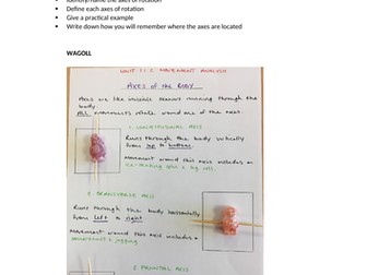 Planes of Movement/Axes of Rotation Poster Task