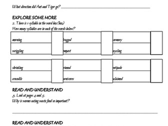 Reading Comprehension Bundle (10)