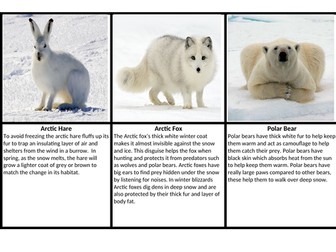 Habitats and adpatations