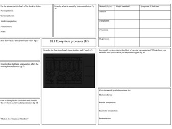 Revision mat: Activate 2 - Ecosystem processes