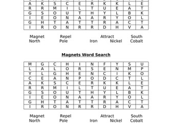 Intro to magnets - low ability