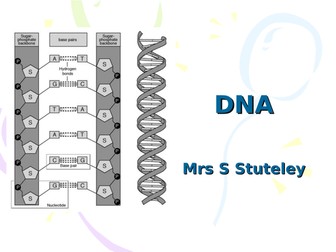 DNA and Protein Synthesis-OCR A