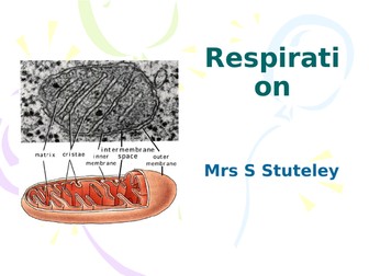 Respiration - OCR Biology A