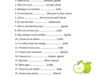Spanish Adjective Agreement Worksheet