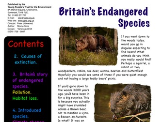 Who cares for the Environment? KS3