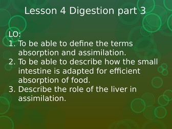 Food and digestion. IGCSE Biology