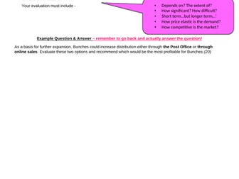 Edexcel - A Level Business - 20 Marker Plan