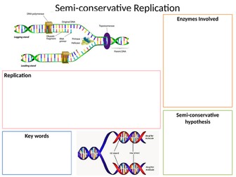 A-level Biology Revision Posters