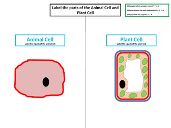 Label the Plant & Animal Cell Worksheet - SEN