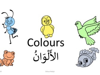 Colours in Arabic الألوان