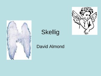 Skellig Powerpoint