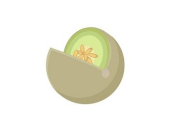 Tout Le Monde Level 1 French Flashcards