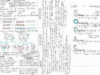 AQA biology a level biological molecules summary sheets