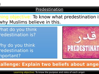 1.3.5 - Predestination