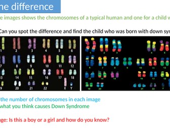 AQA GCSE Mitosis lesson