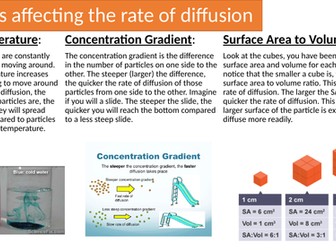 New AQA  GCSE Diffusion Full Lesson