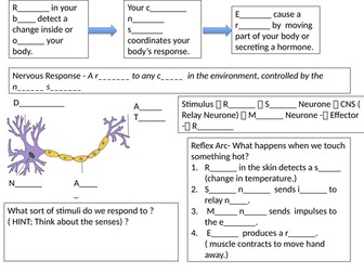 Year 9  LA Nervous system and eye revision map