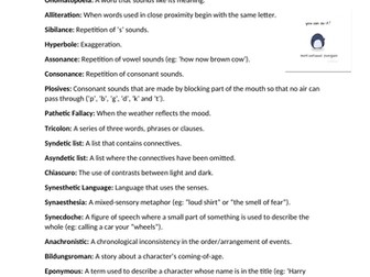 Literary Techniques Glossary