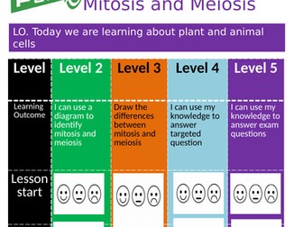 Edexcel Paper 1 - Mitosis and mieosis