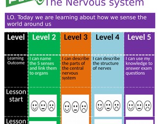 Edexcel - Paper 1 - Nervous system