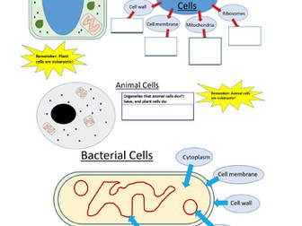 Types of Cell; Animal, Plant, Bacterial - Biology GCSE