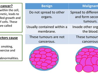 Cancer Activity - Biology GCSE