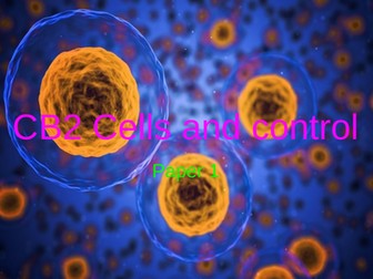 CB2 Cells and control PPT