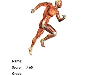 BTEC Sport Level 3 Muscular System Exam