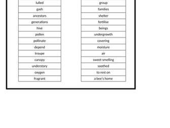 KS2 | Whole Class Reading | Great Kapok Tree