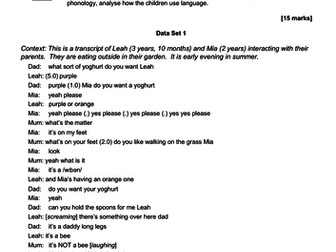 Child Language: Phonology exam question