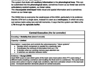 Alevel Psychology The working Memory Model explanation sheet