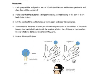 Sensitivity of receptors in the skin to touch stimuli practical