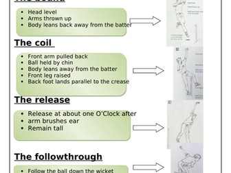 Cricket Bowling Action Resource Card