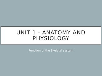 Level 3 BTEC Sport Anatomy & Physiology: Functions of the Skeleton