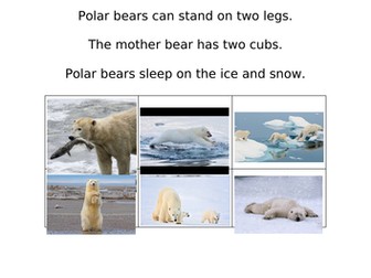 Arctic Sentence Matching Key Stage 1 or EYFS