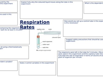 CB8d Respiration  rates revision sheet