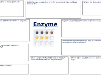 CB1g Enzymes core practical revision