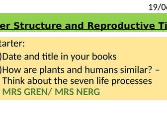 Year 8 Flower Structure and Reproductive Tissue