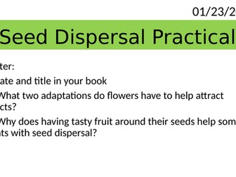 Year 8 Seed Dispersal Practical