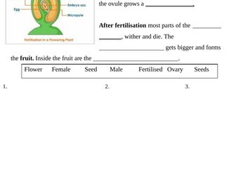 Year 8 Pollination and Fertilisation