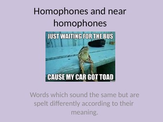 Simple homophones and near homophones  KS2  PPT
