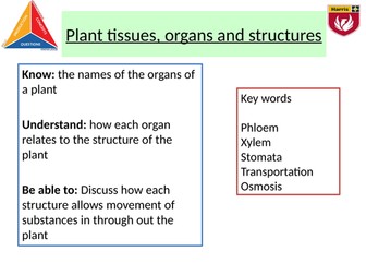 Plant tissues and organs AQA trilogy