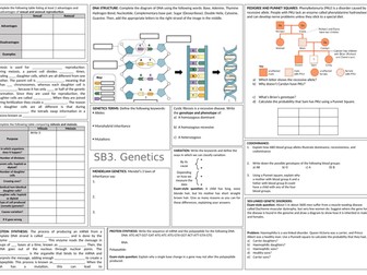 Genetics Revision Mat Worksheet (SB3 Genetics Edexcel)