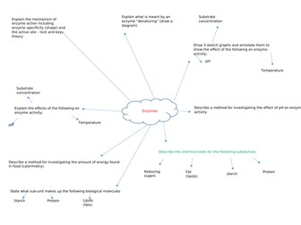 Enzymes Revision Mind Map