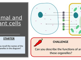 GCSE AQA Animal and plant cells